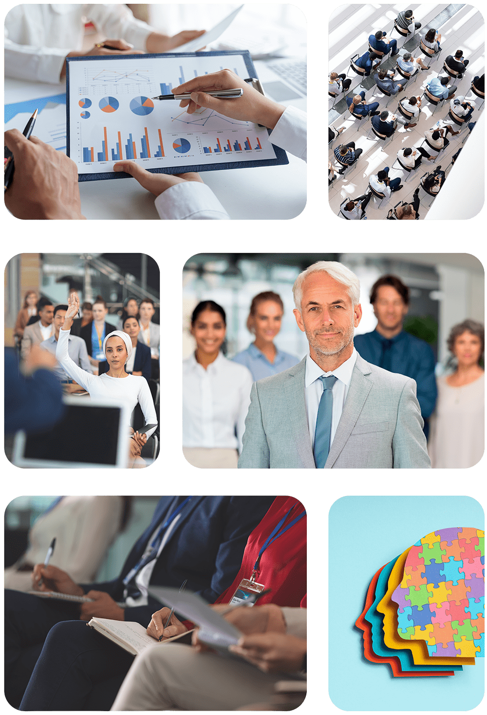 elladoocultodelaventa.es